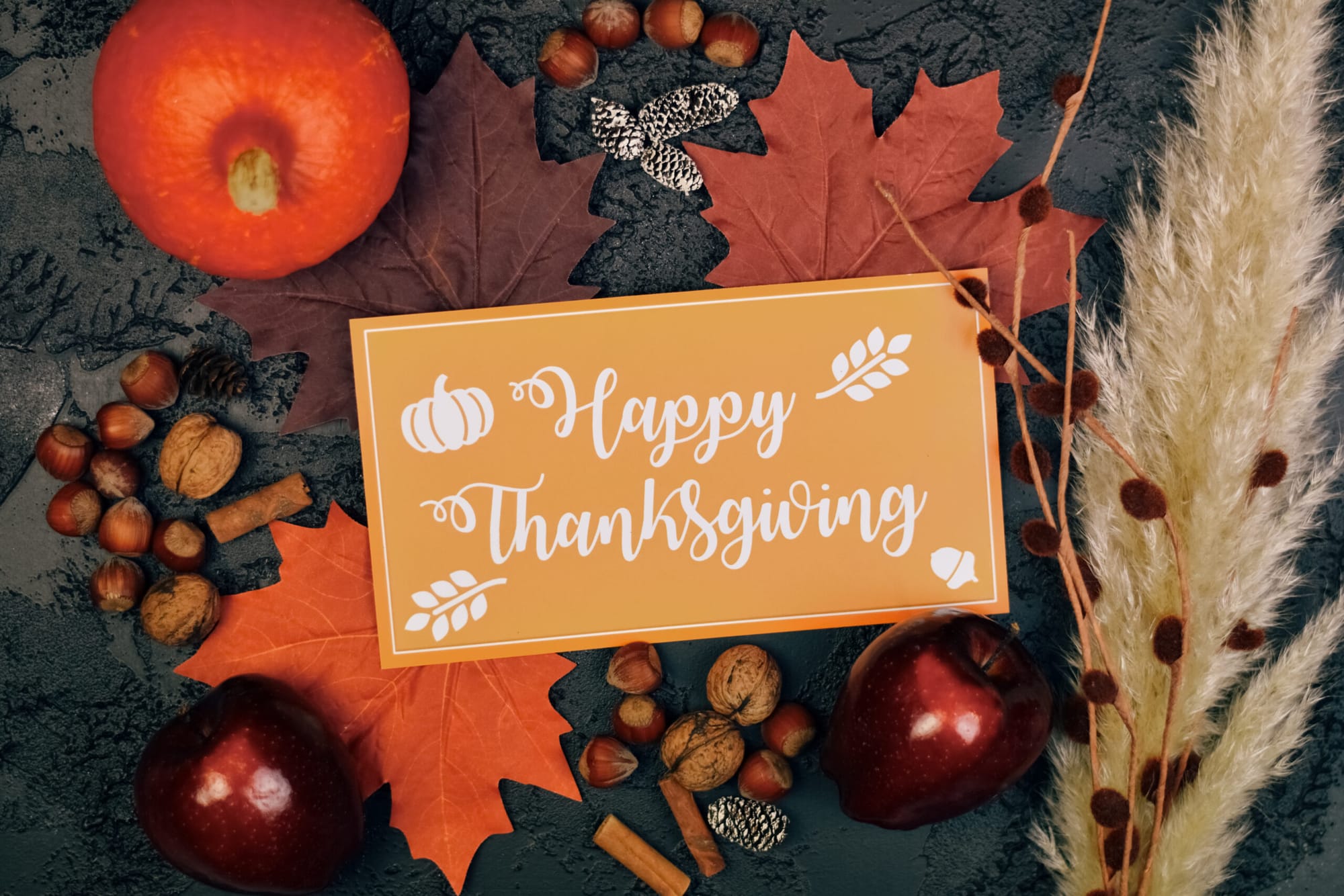 A Season of Thanks and Protection