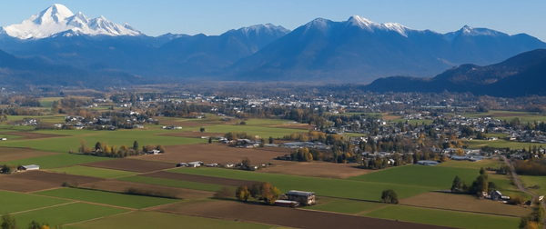 Say Hello to the New Saxbee Insurance Website